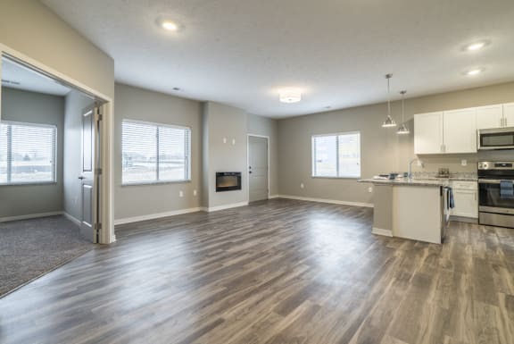 Large living room and kitchen area of 1 bedroom apartment