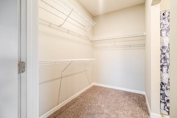 A white closet with a carpeted floor and a door.
