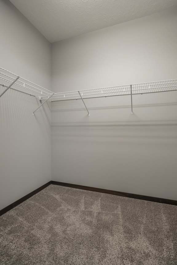 Empty closet with a shelf and carpeted floor.