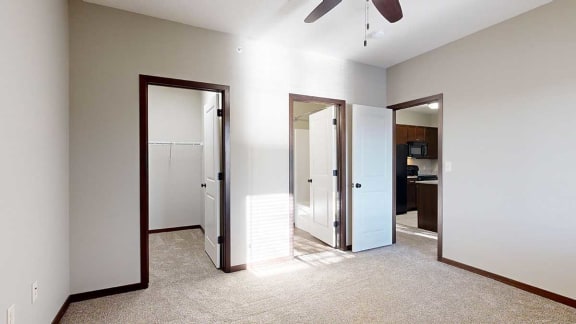 a bedroom with a walk-in closet and attached bathroom