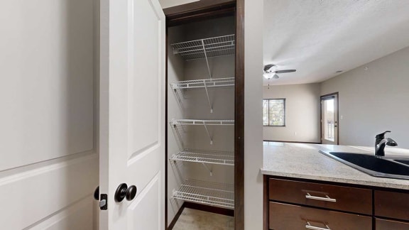 a kitchen with a pantry with built-in shelving next to a double sink