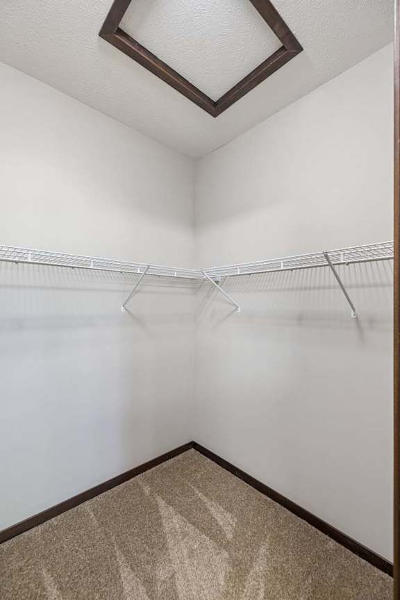 Walk-in closet with carpeted floor, white wire shelving, high ceiling, and neutral walls.