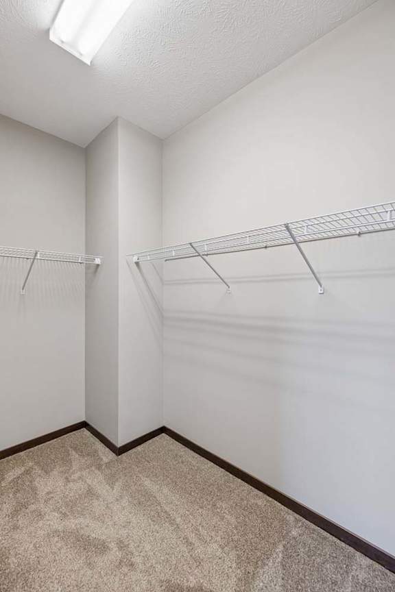 A white closet with two shelves and a carpeted floor.