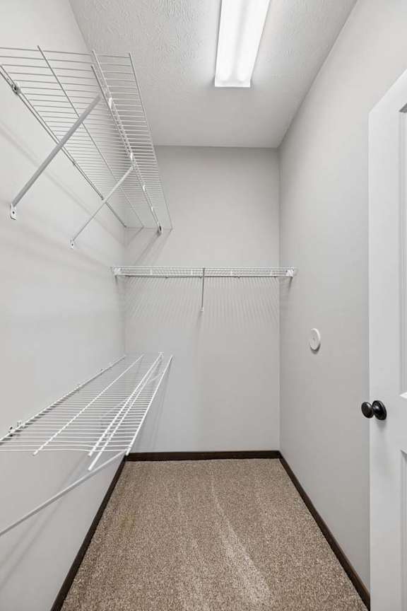 Walk-in closet with carpeted floor, white wire shelving, neutral walls, and overhead lighting.