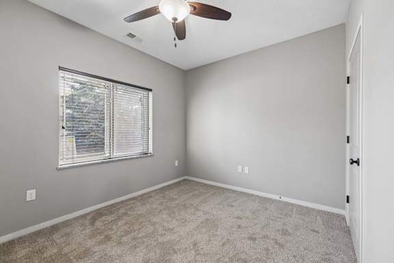 Bright apartment bedroom with carpet, ceiling fan, gray walls, and a wide window with blinds.