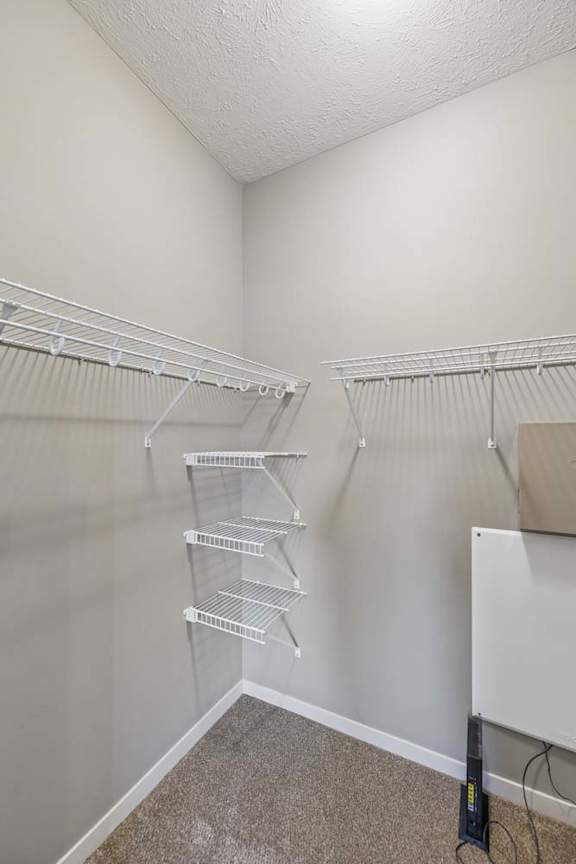 Walk-in apartment closet with carpet, neutral walls, and wire shelving on multiple sides.