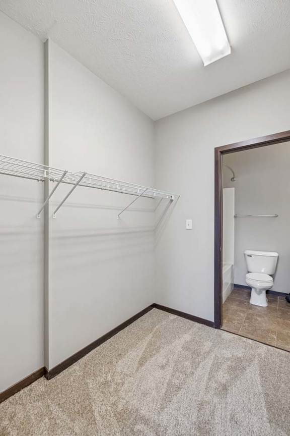 Carpeted apartment closet with wire shelving, overhead light, gray walls, and doorway to the bathroom.