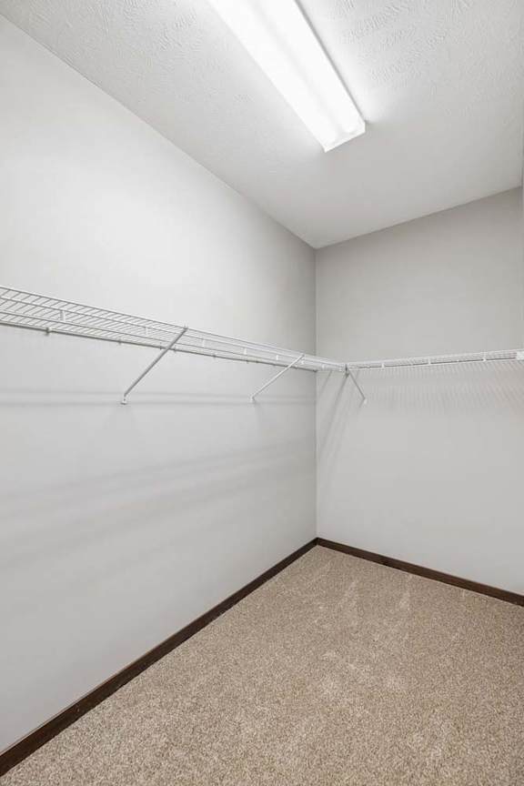Empty closet with a carpeted floor and a metal rack on the wall.