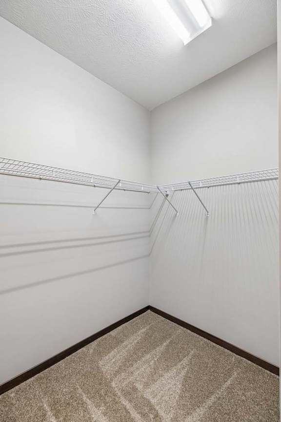 Empty closet with a carpeted floor and metal racks on the wall.