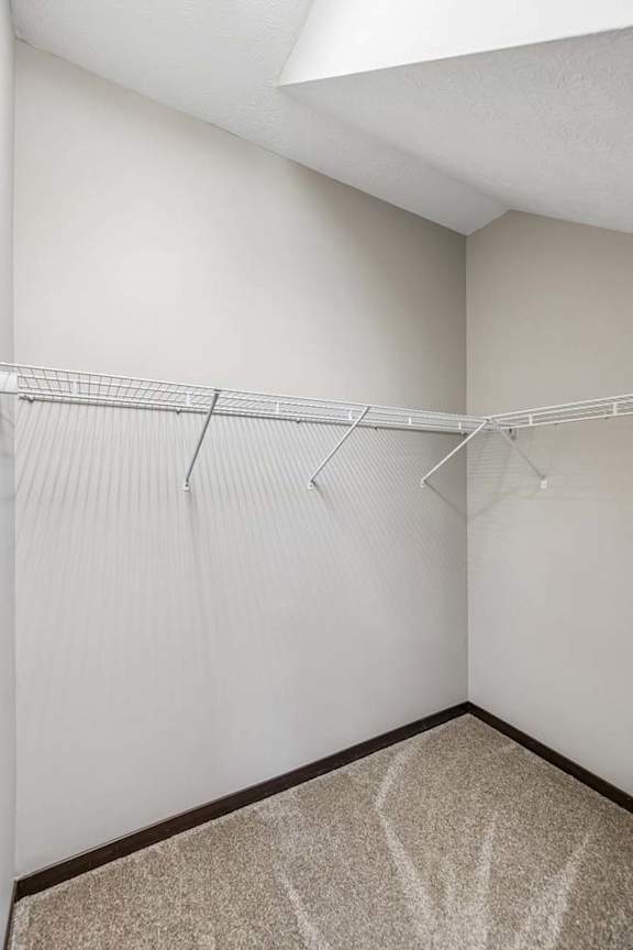 A white closet with a metal rod and a carpeted floor.