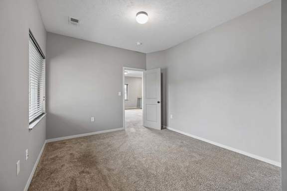 Empty apartment bedroom with carpet, ceiling fan, gray walls, and direct access to the bathroom.