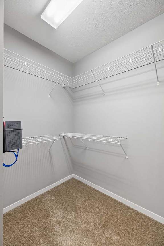Walk-in apartment closet with carpet, gray walls, overhead light, and white wire shelving.