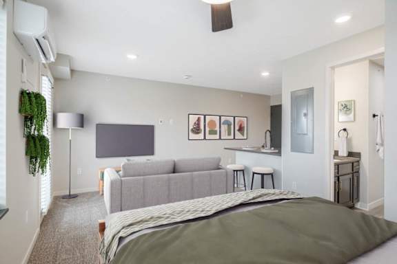Studio living/bedroom with a bed, a couch, a television, and a potted plant
