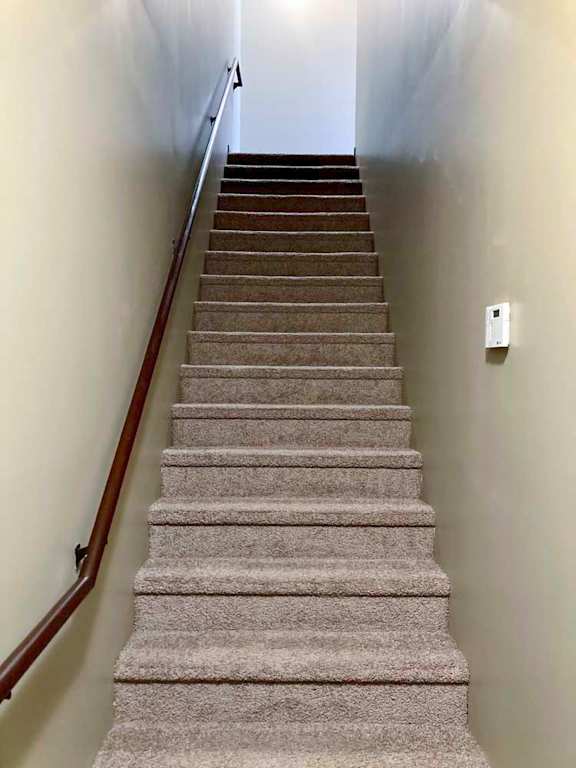 A carpeted staircase leading up to the living area, with a wooden handrail.
