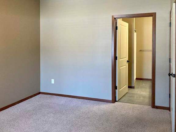 A carpeted bedroom with an attached bathroom and walk-in closet.