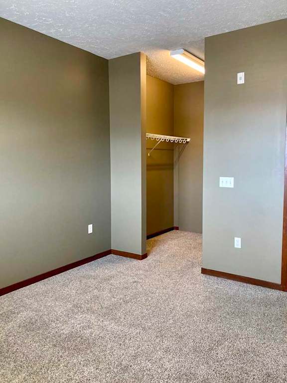 A carpeted bedroom with a walk-in closet.