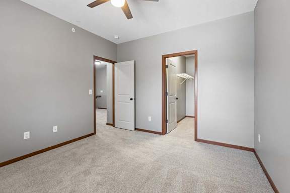 Empty apartment bedroom with neutral carpet, gray walls, ceiling fan, wood trim, and an open walk-in closet with wire shelving.