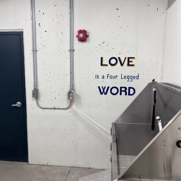 A wall with the words love is a four legged word and the dog wash station at WH Flats apartments in Lincoln, NE