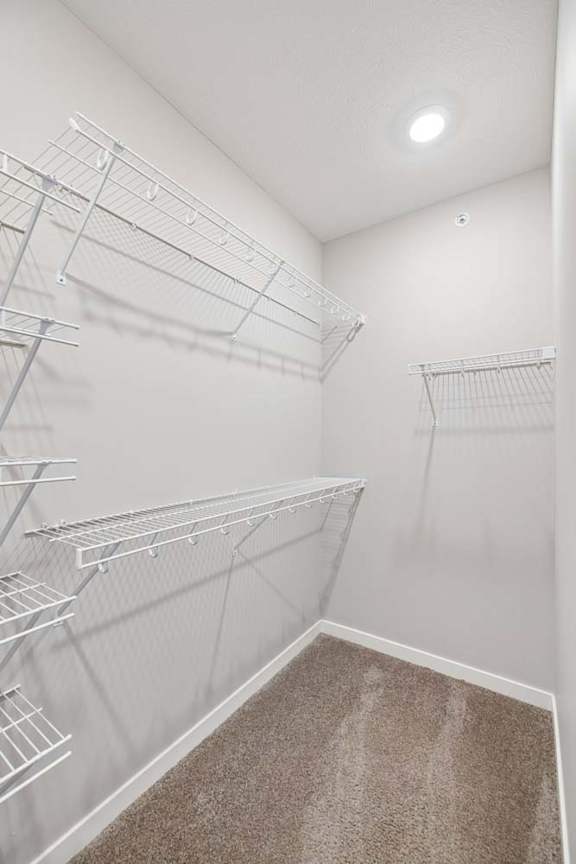 Walk-in apartment closet with built-in wire shelving, carpeted flooring, recessed lighting, and ample hanging space for organized storage.