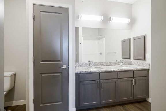 a bathroom with a double vanity sink, a medicine cabinet, and a storage closet