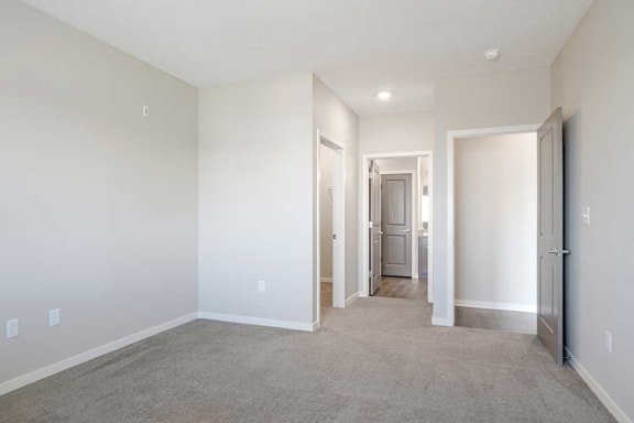 a bedroom with a walk in closet and attached bathroom