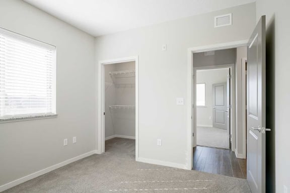 a bedroom with a walk-in closet