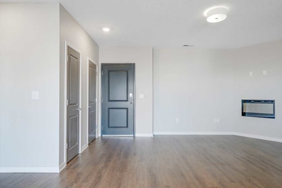 a living room with a storage closet, a pantry and a fireplace