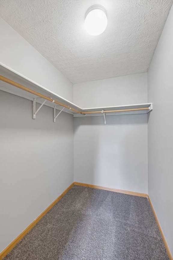 Spacious walk-in apartment closet with carpeted flooring, wraparound hanging rods, and built-in shelving.