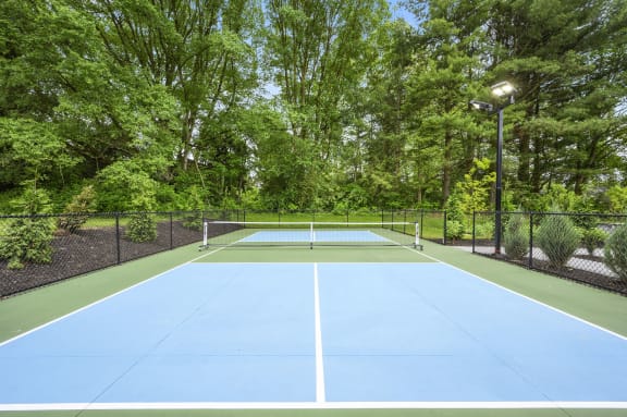 a tennis court with trees and a fence around it