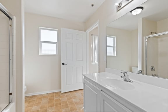a bathroom with a sink and a mirror and a shower