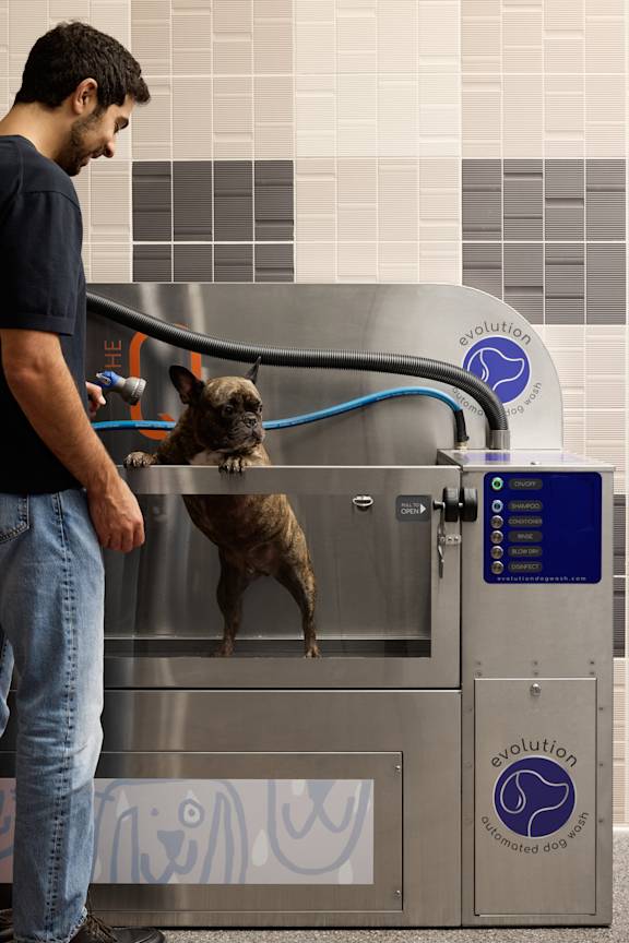 A man is grooming a dog in a grooming station.