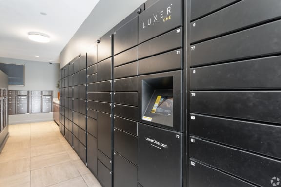 the lockers in the laundry room have been painted in black