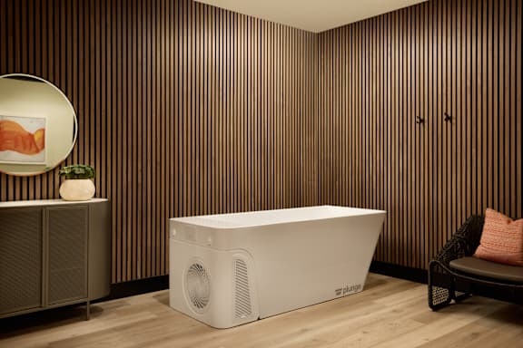 A white bathtub with a speaker on it is in a room with wooden walls.