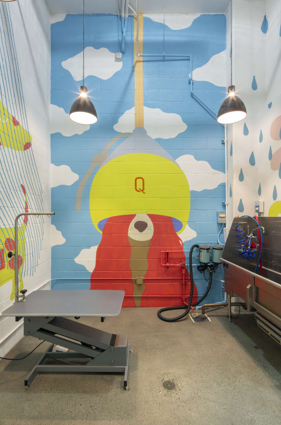 Pet Spa at The Q Variel, Woodland Hills, CA