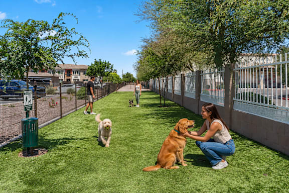 A woman is playing with two dogs in a park.