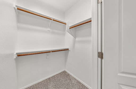 A white closet with a door and a carpeted floor.