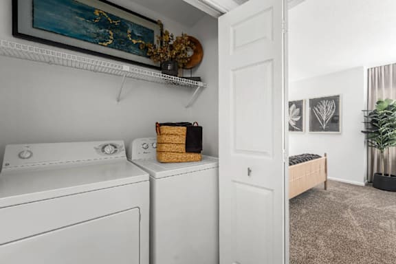 A laundry room with a washer and dryer, a plant, and pictures on the wall.