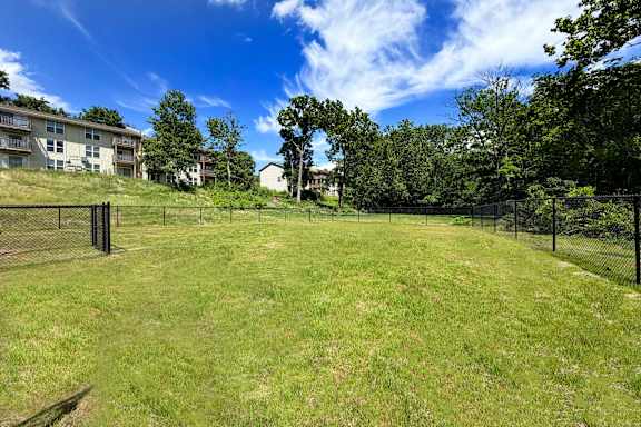A grassy field with a fence and trees in the background.