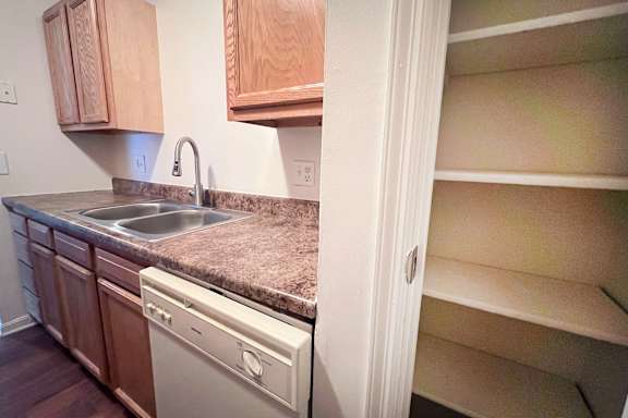 A kitchen with a sink and a dishwasher.