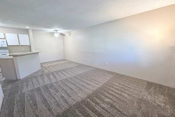 A room with a carpeted floor and a window.