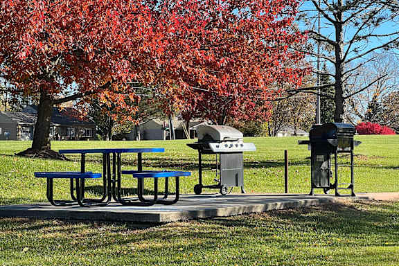 A picnic table with a blue bench is in front of a tree with red leaves.