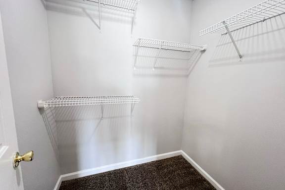 A white closet with three shelves and a carpeted floor.
