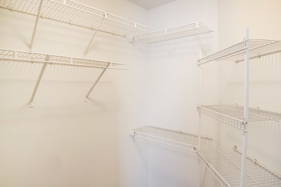 Generous Walk-In Closets With Shelving at The Vinings Apartments, Cincinnati, 45245