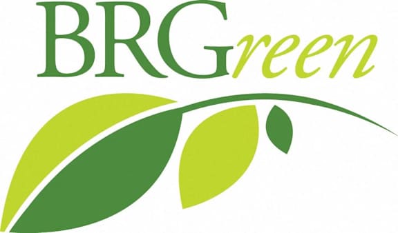 A logo with the text "BRGgreen" and a graphic of two green leaves.