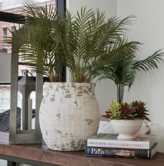 a vase with plants on a table with books