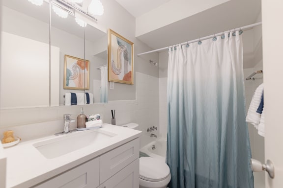 a bathroom with a shower curtain and a sink and a toilet