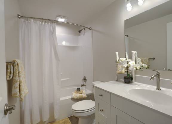 A white bathroom with a toilet, sink, and shower.