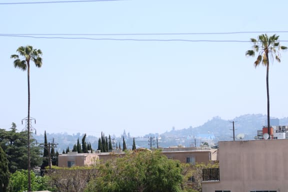 a view of the city from the roof of a building