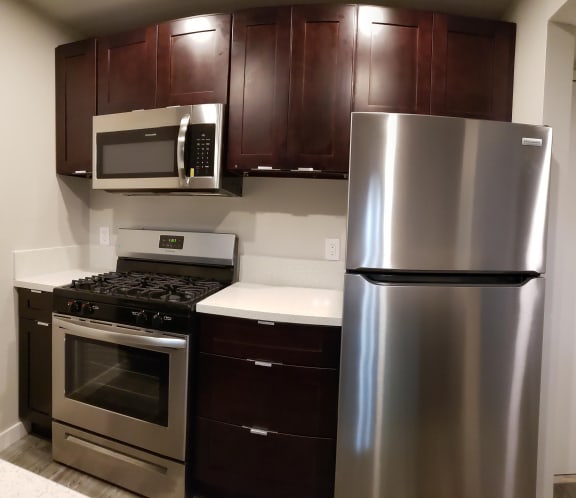 Stainless Steel Appliances