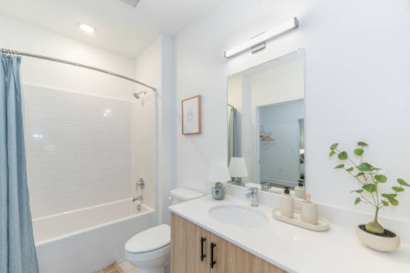 A bathroom with a white sink, toilet, and a blue shower curtain.